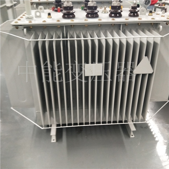 天水S20-800KVA变压器