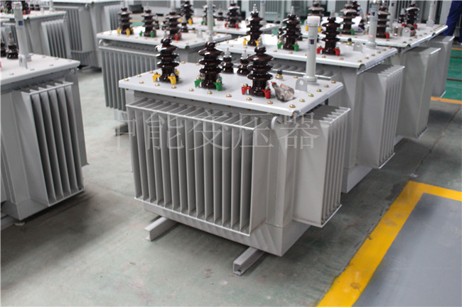 天水S22-100KVA/10KV/0.4KV变压器